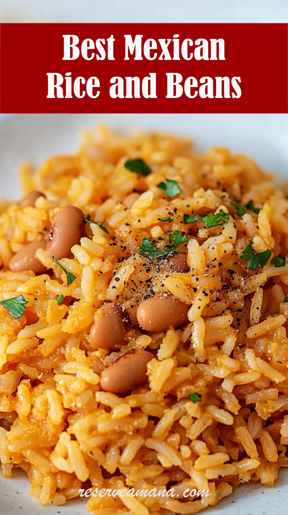 Best Mexican Rice and Beans Recipe
