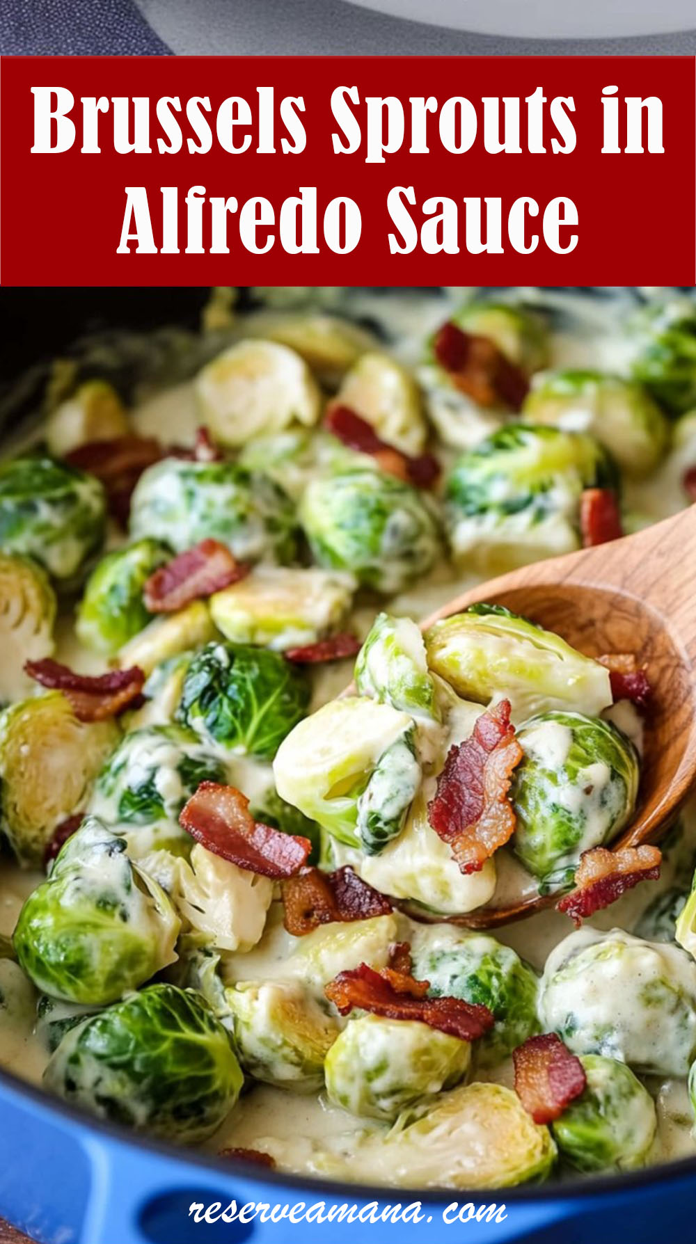 Brussels Sprouts in Alfredo Sauce