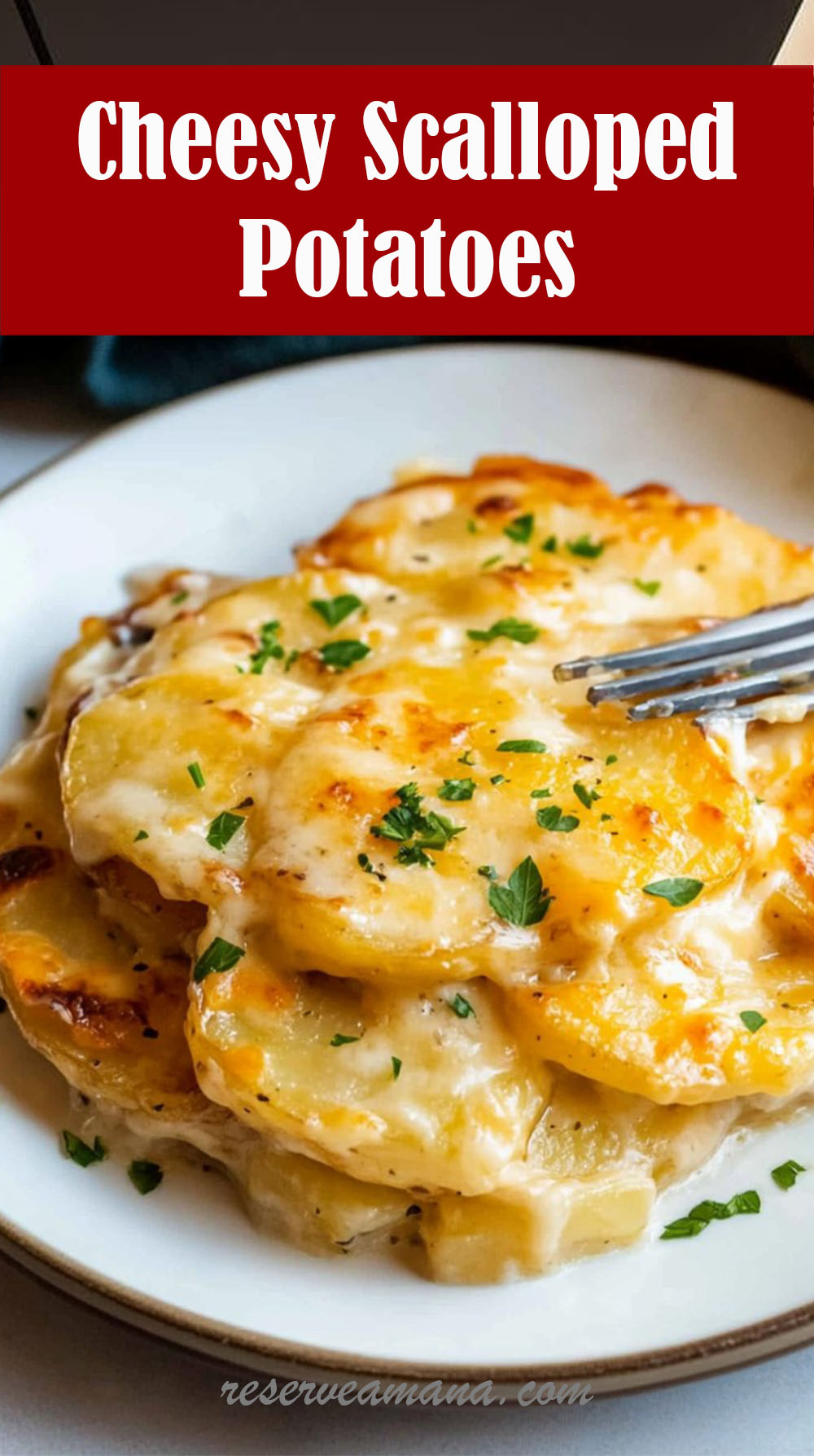 Cheesy Scalloped Potatoes