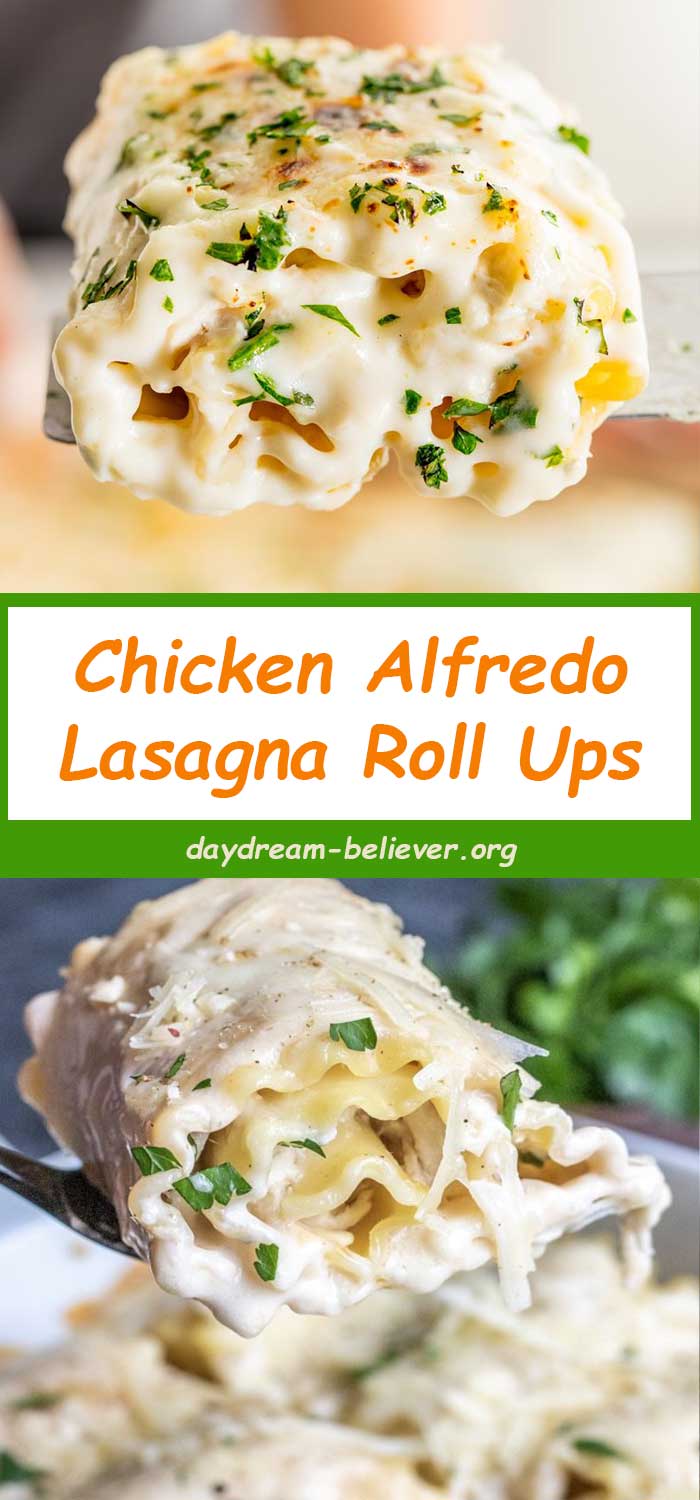 Chicken Alfredo Lasagna Roll Ups 2