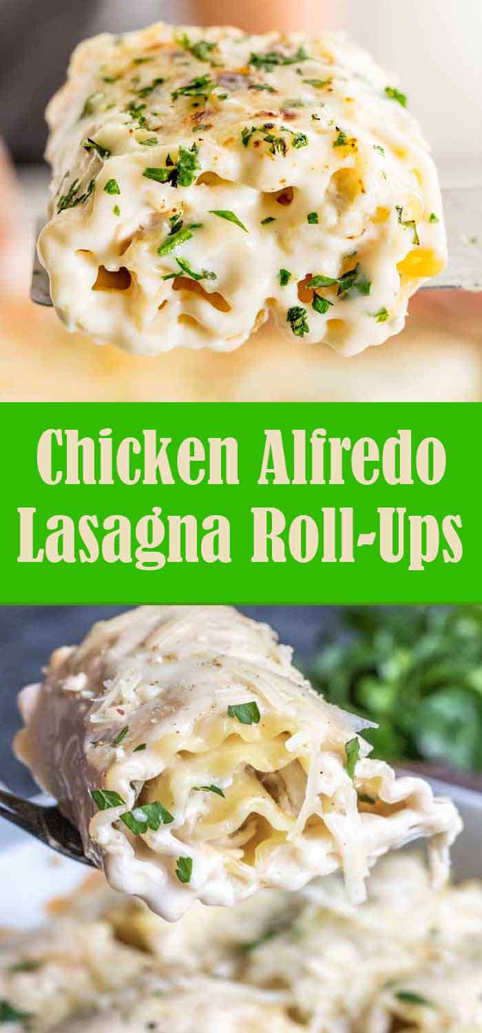 Chicken Alfredo Lasagna Roll-Ups