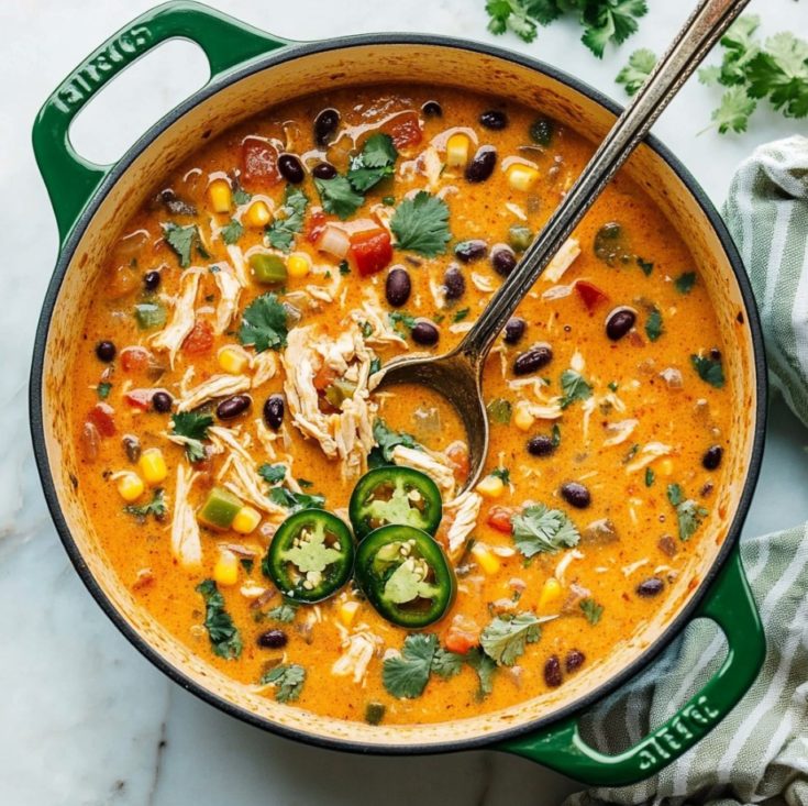Chicken Enchilada Soup