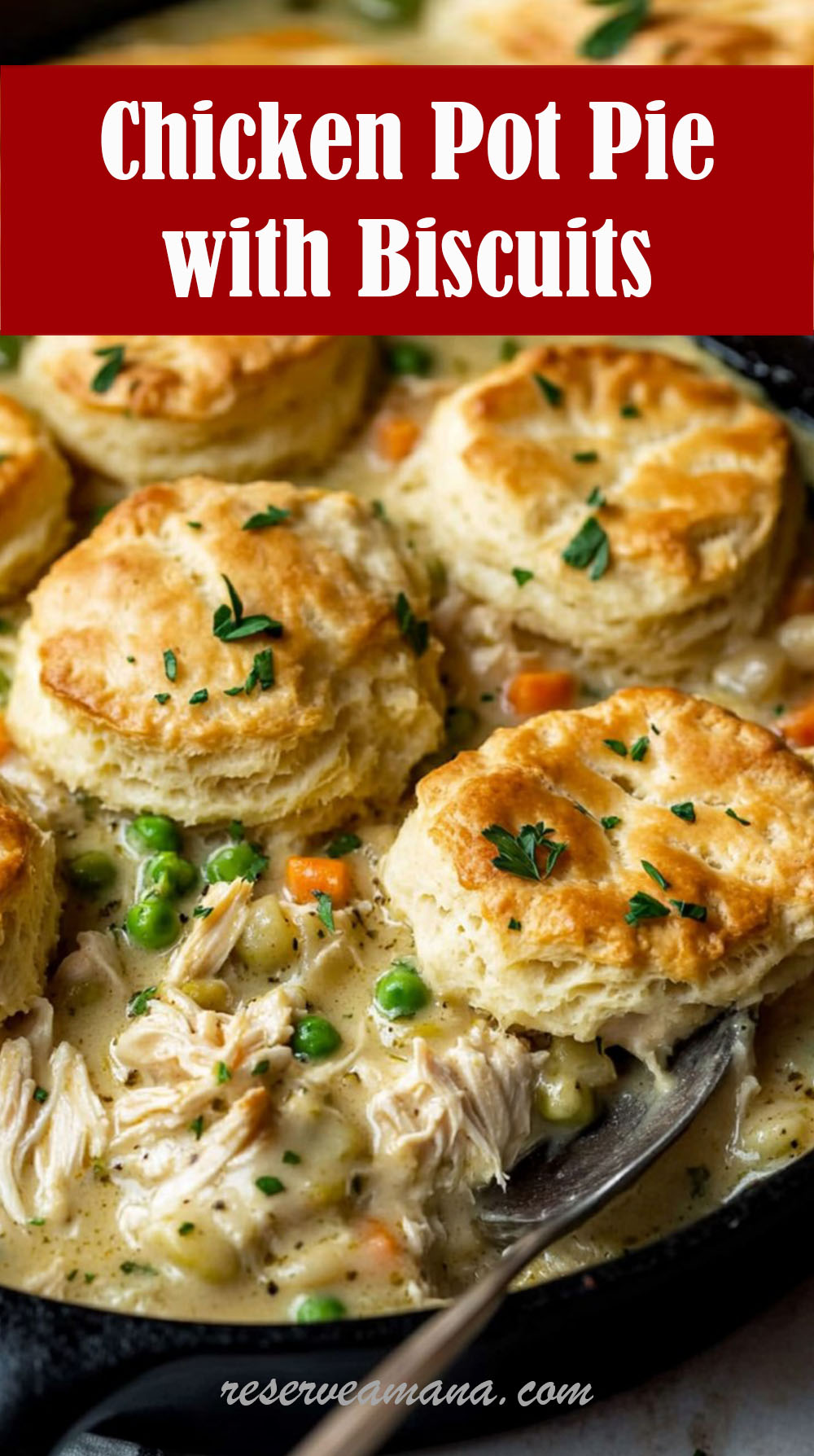 Chicken Pot Pie with Biscuits