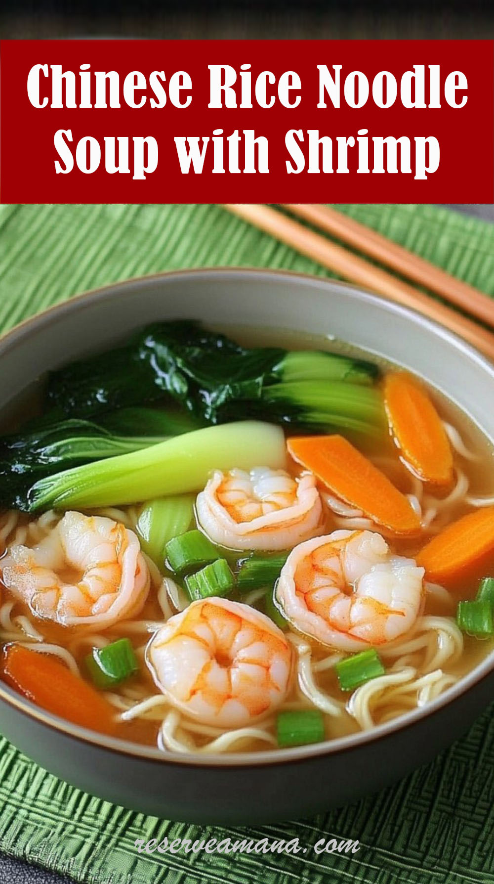 Chinese Rice Noodle Soup with Shrimp