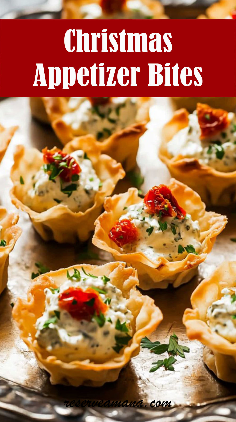 Christmas Appetizer Bites