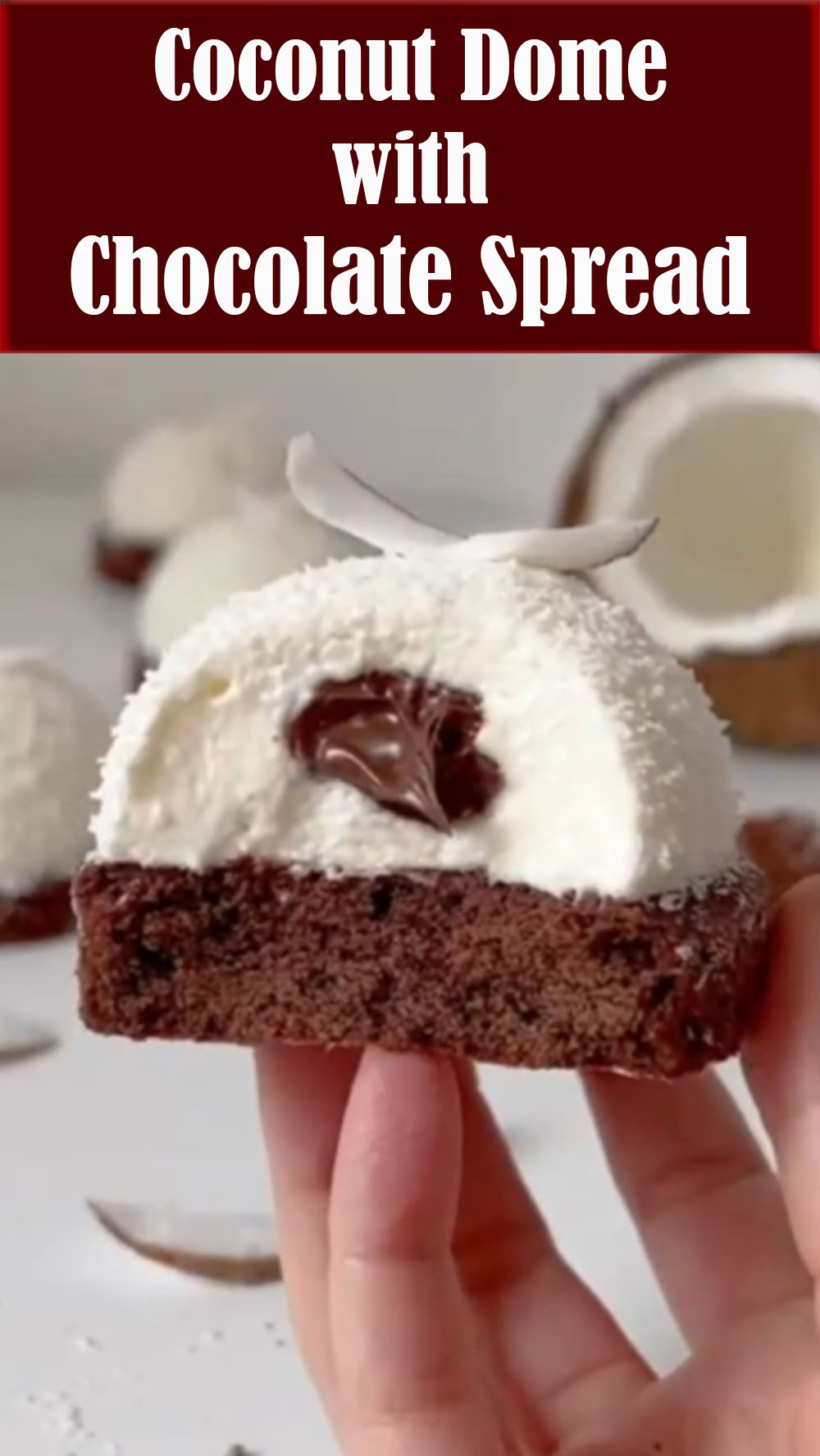 Coconut Dome with Chocolate Spread