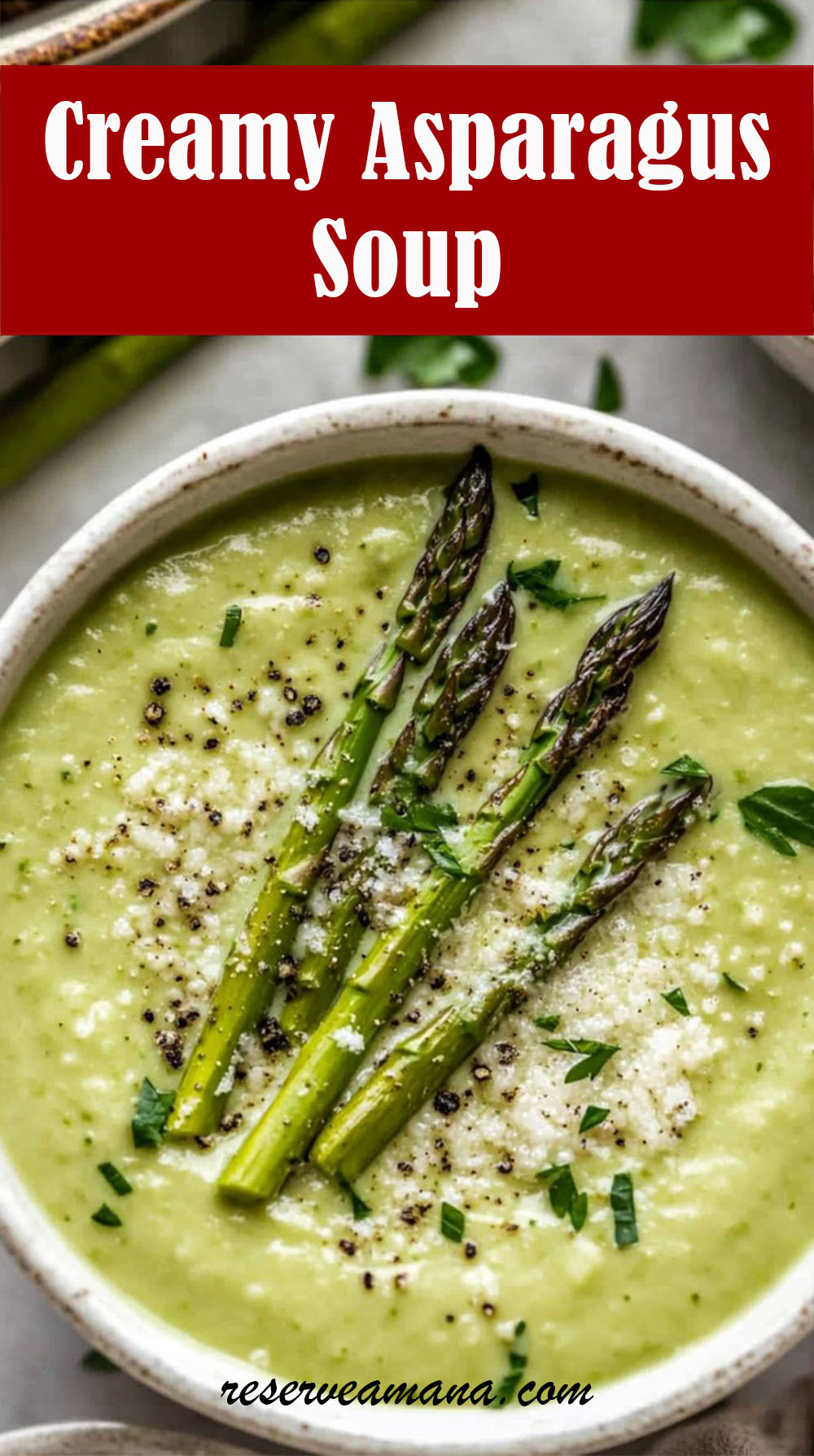 Creamy Asparagus Soup