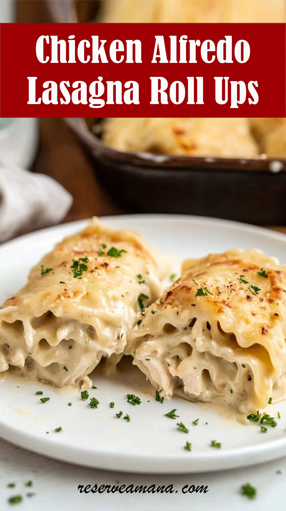 Creamy Chicken Alfredo Lasagna Roll Ups