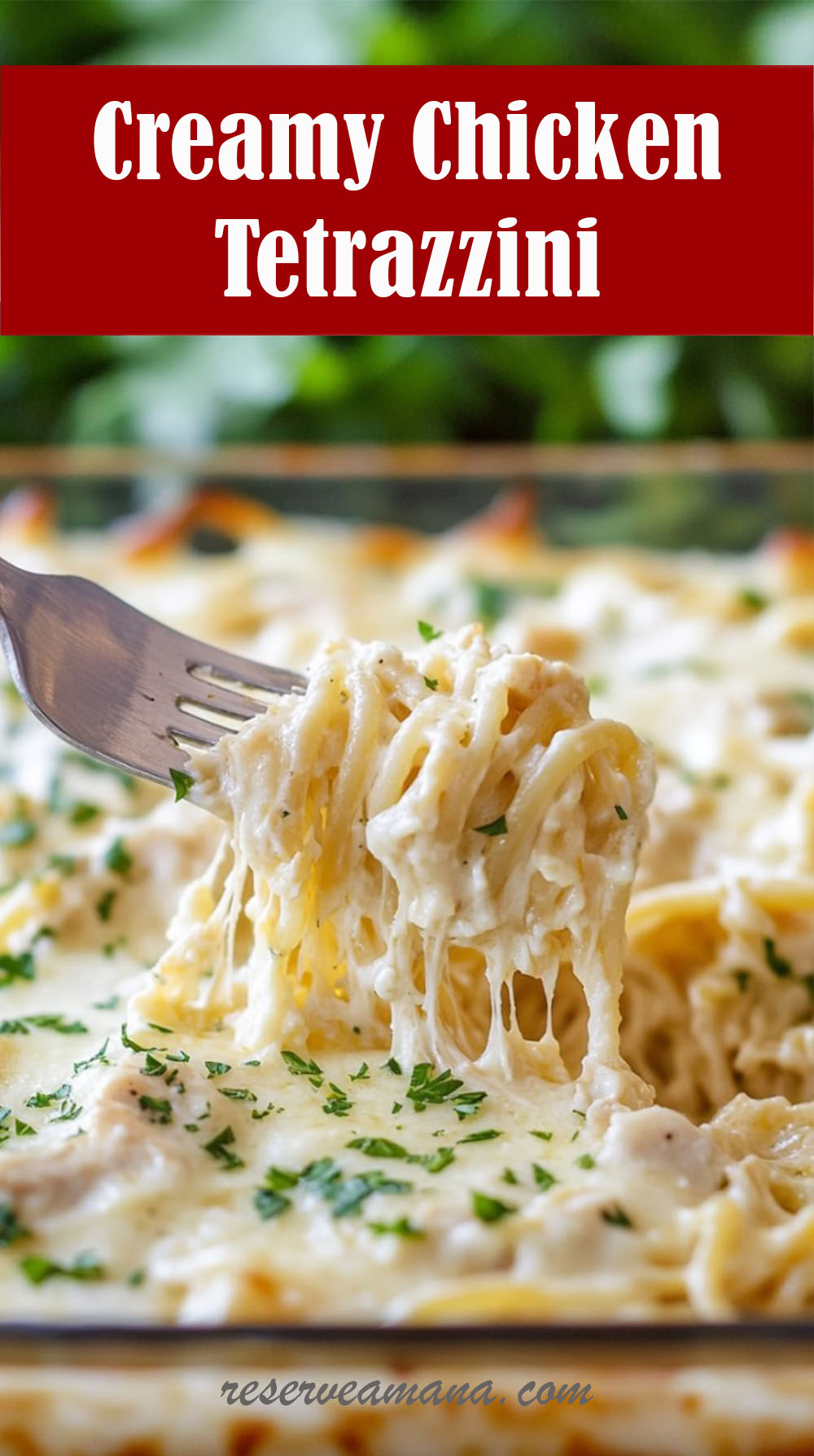Creamy Chicken Tetrazzini