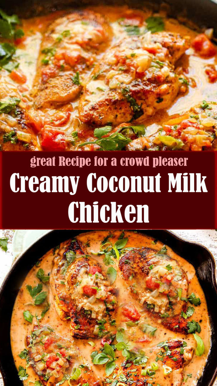 Creamy Coconut Milk Chicken Recipe Reserveamana
