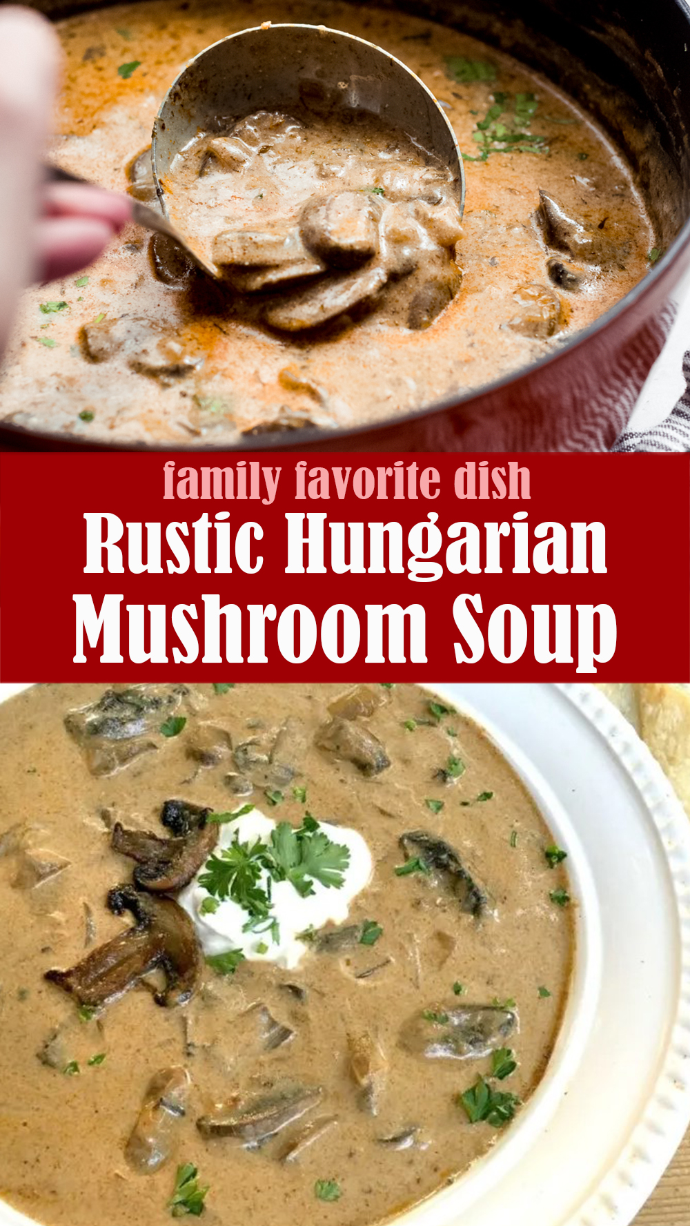 Delicious Rustic Hungarian Mushroom Soup