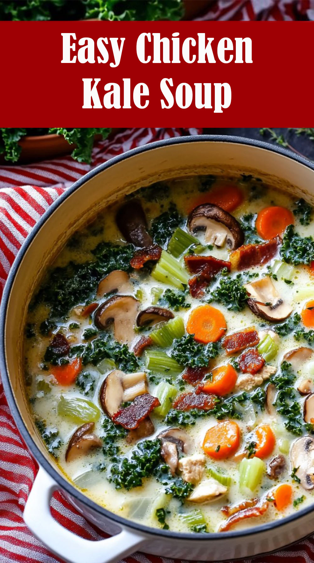 Easy Chicken Kale Soup Recipe