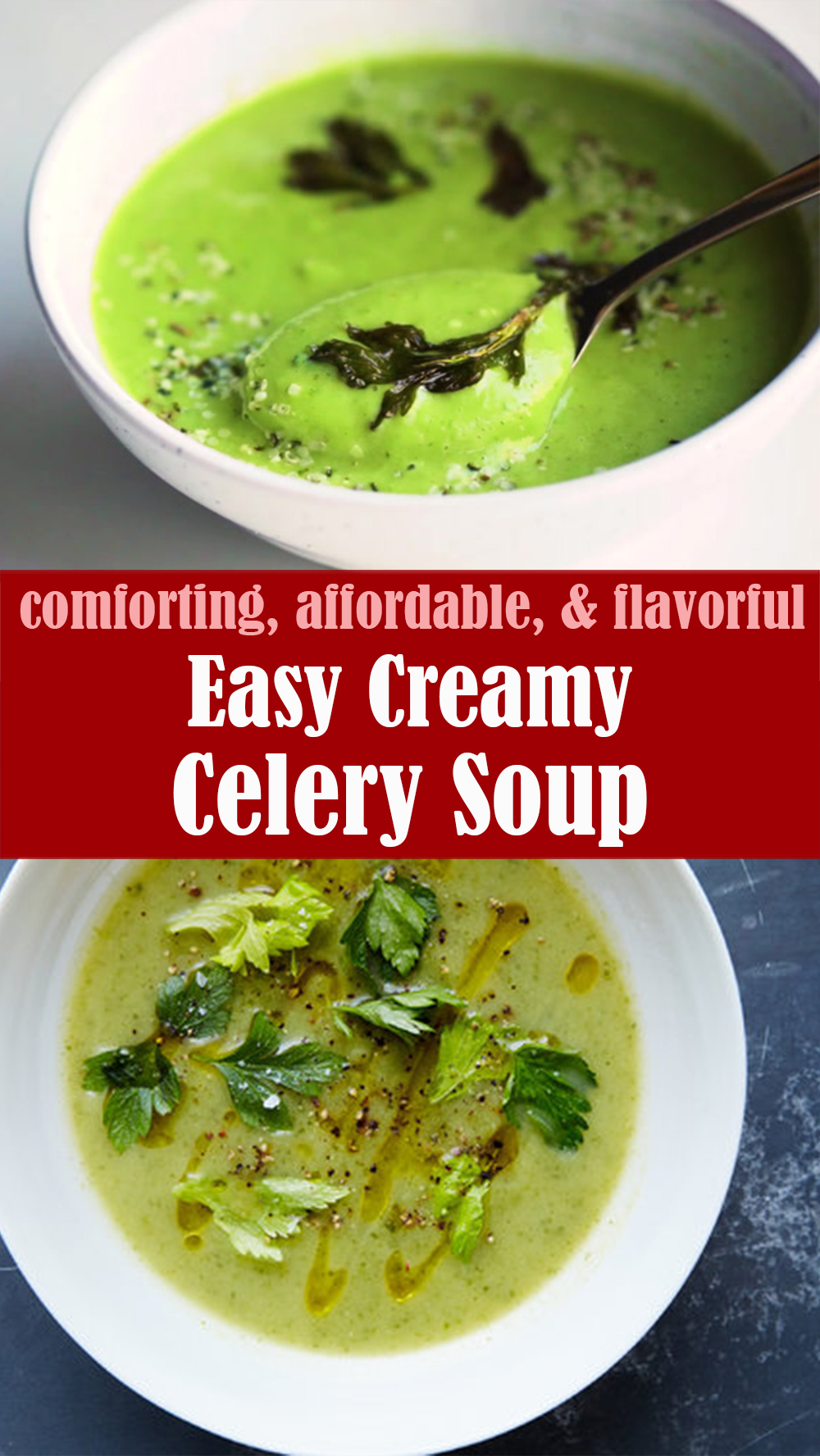 Easy Creamy Celery Soup Recipe