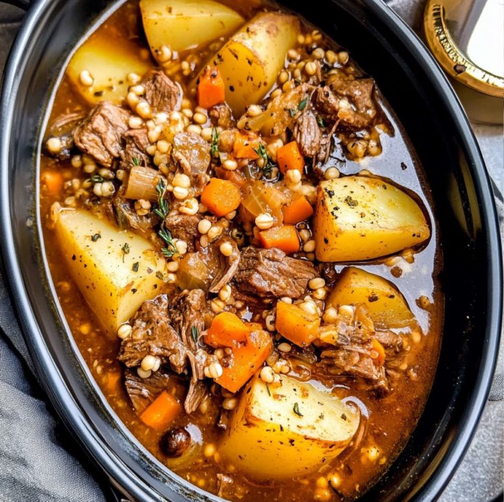 Easy Crockpot Beef Barley Soup