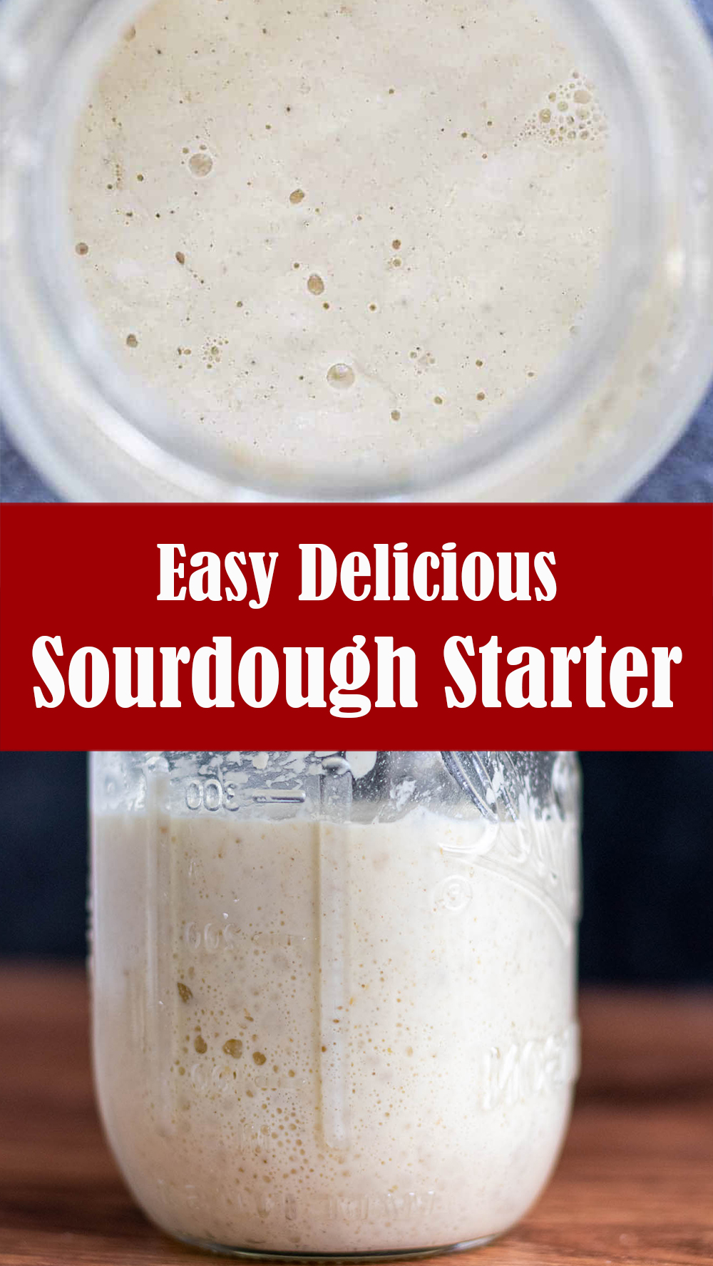 Easy Delicious Sourdough Starter