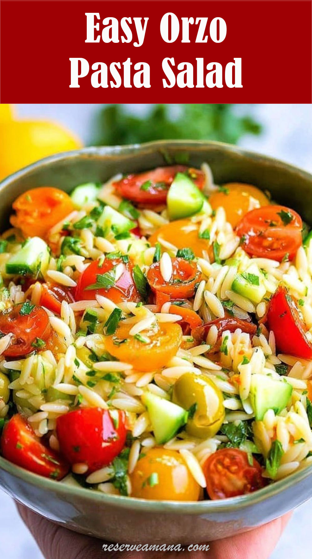 Easy Orzo Pasta Salad