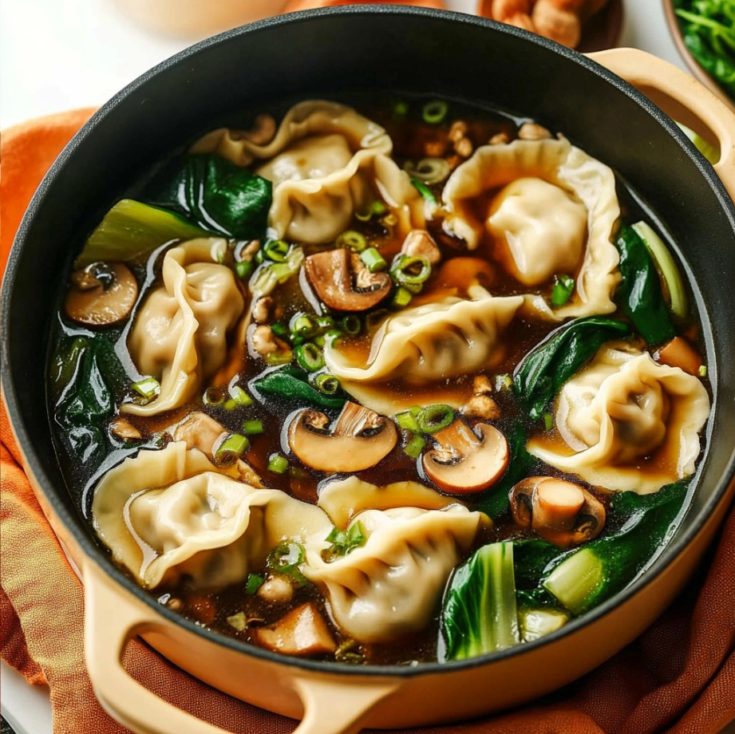 Easy Potsticker Soup Recipe