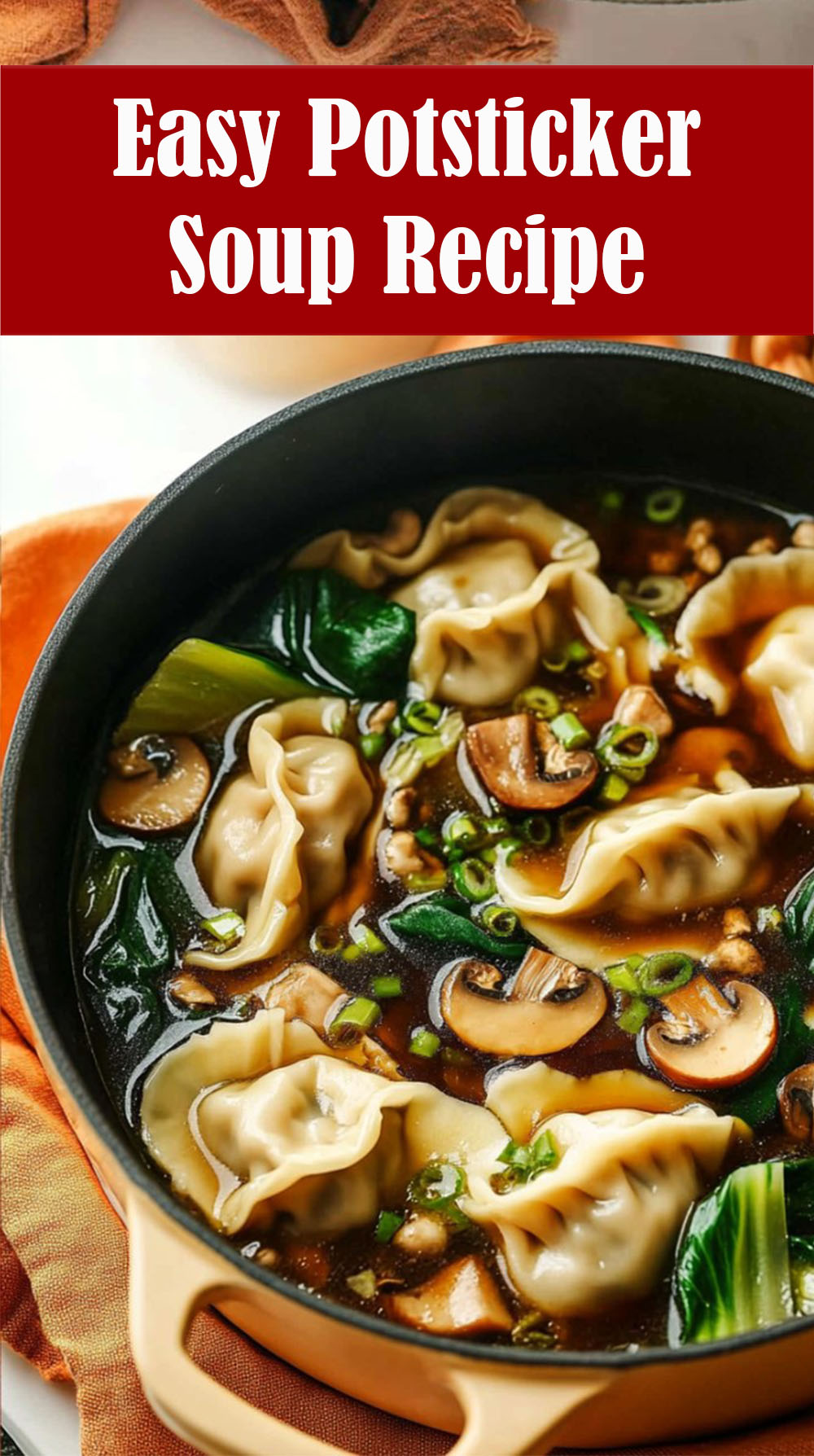 Easy Potsticker Soup Recipe