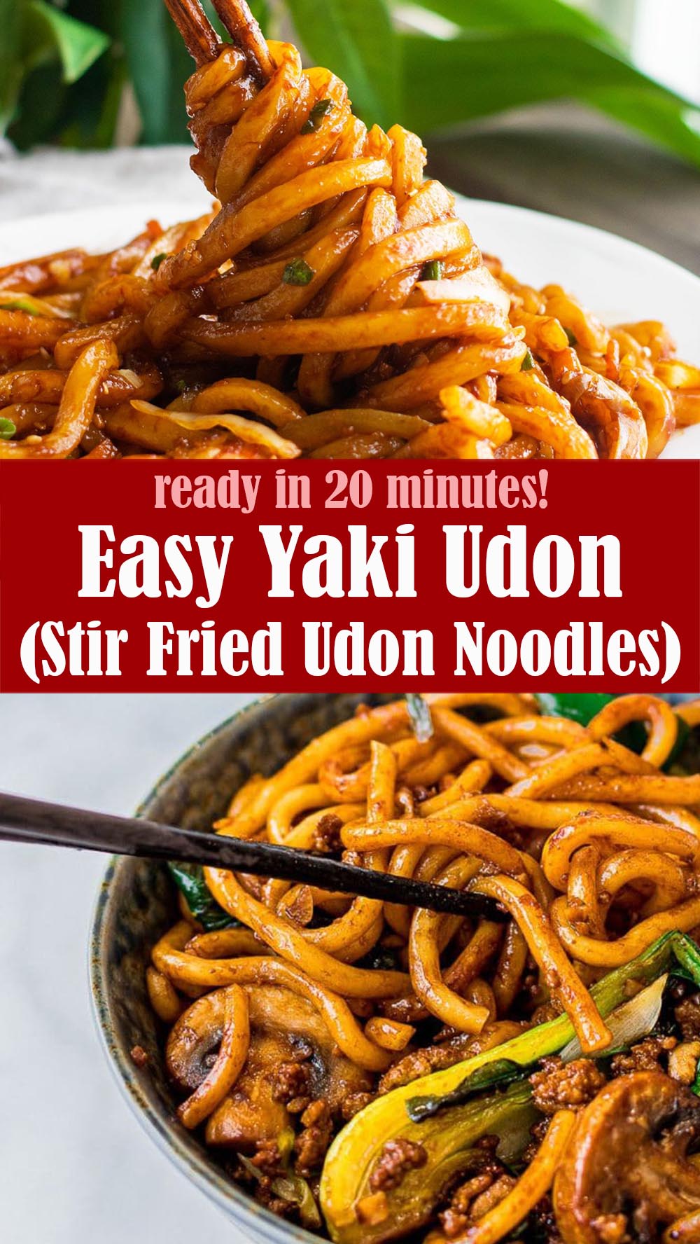Easy Yaki Udon (Stir Fried Udon Noodles)