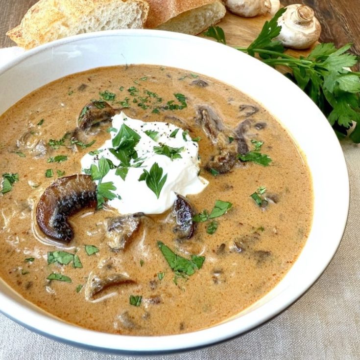 Hungarian Mushroom Soup Recipe