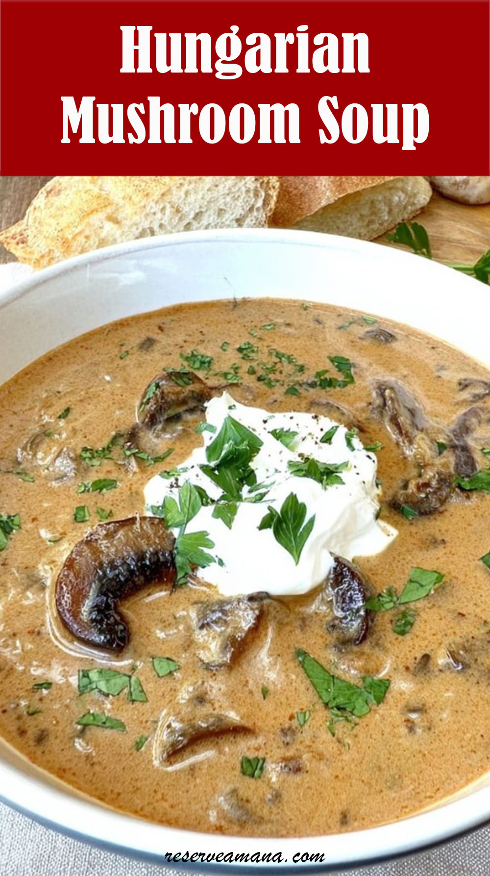 Hungarian Mushroom Soup Recipe