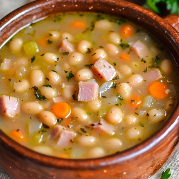 Instant Pot Ham and Bean Soup