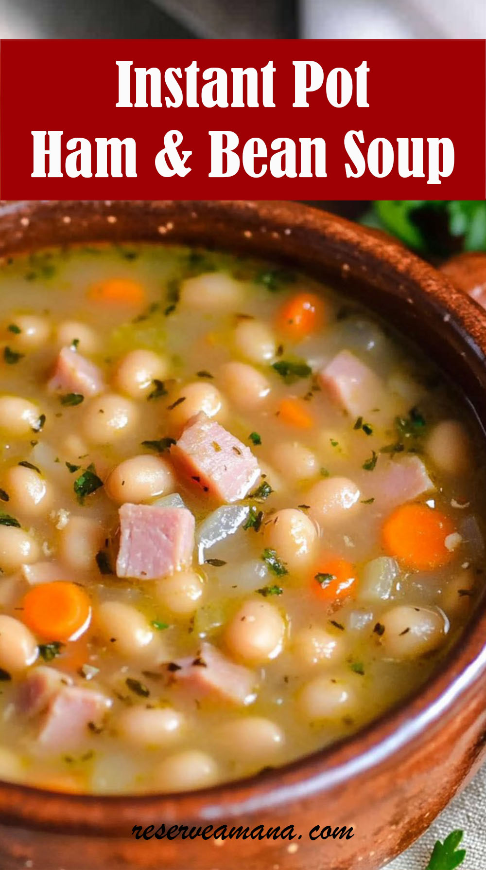 Instant Pot Ham and Bean Soup