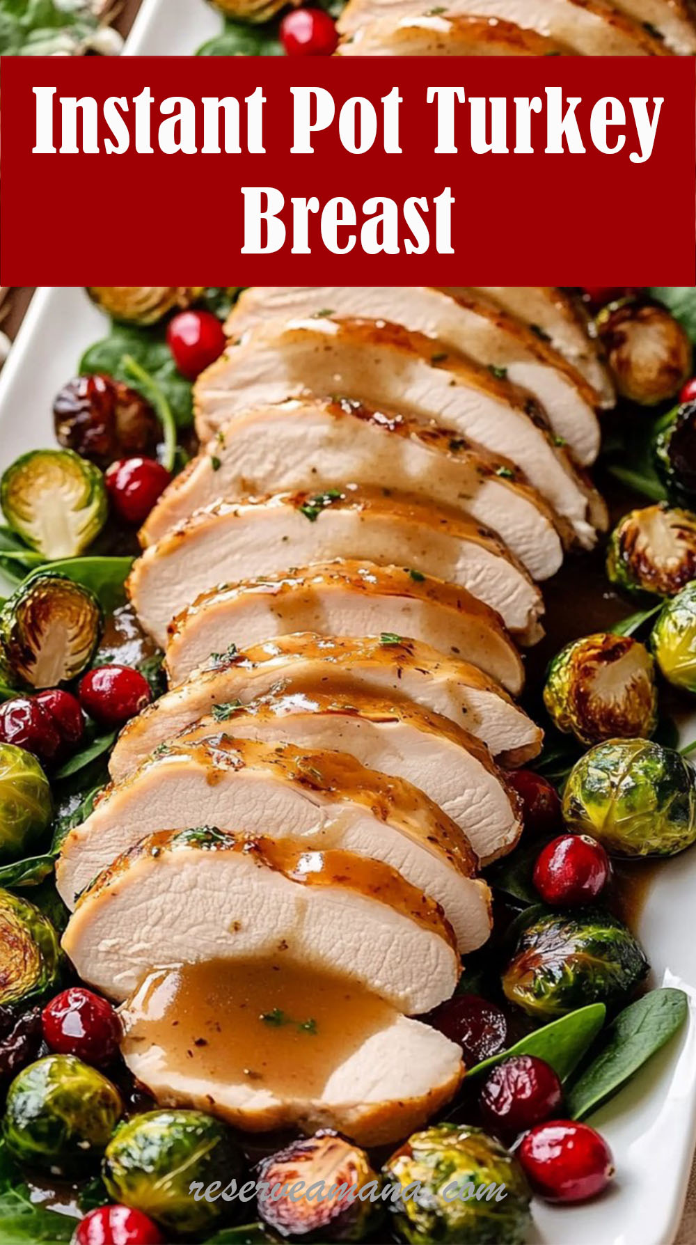 Instant Pot Turkey Breast