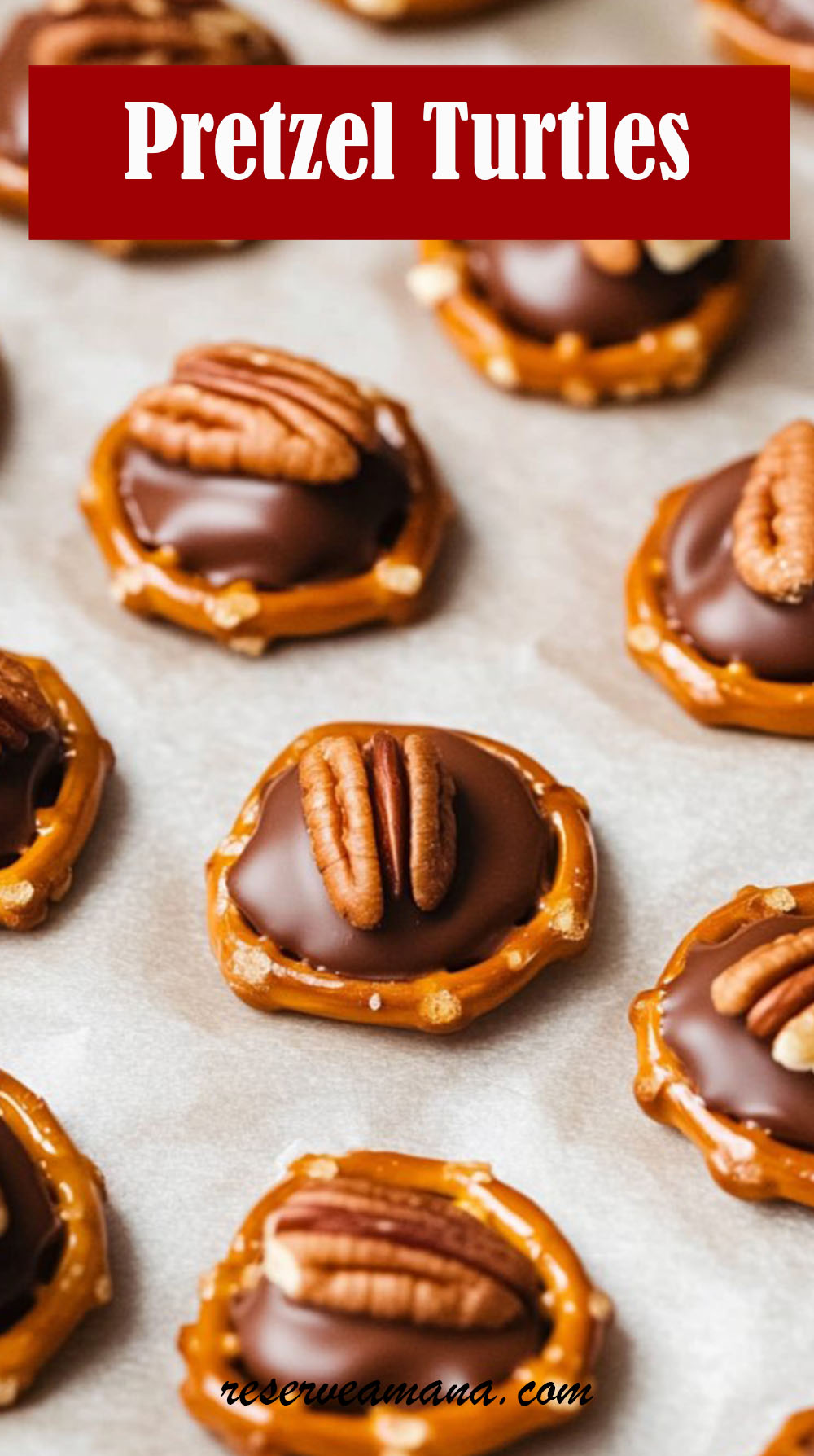 Pretzel Turtles