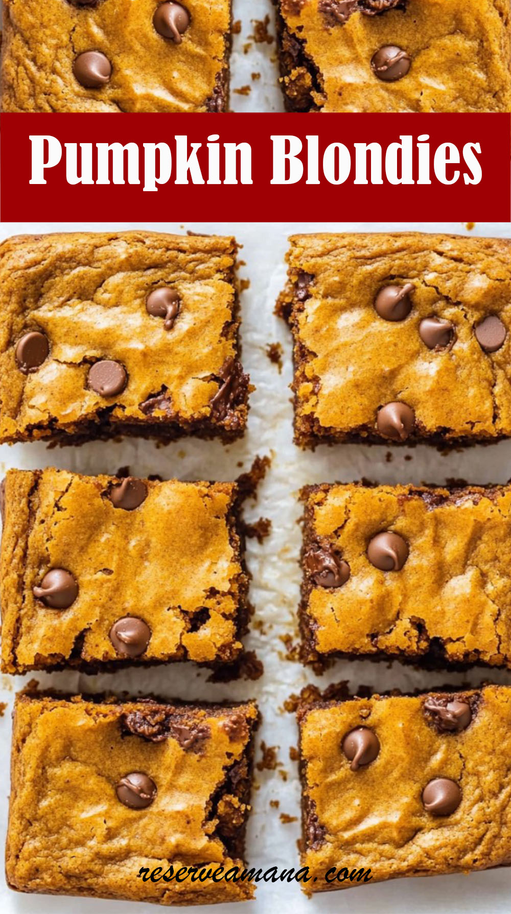 Pumpkin Blondies