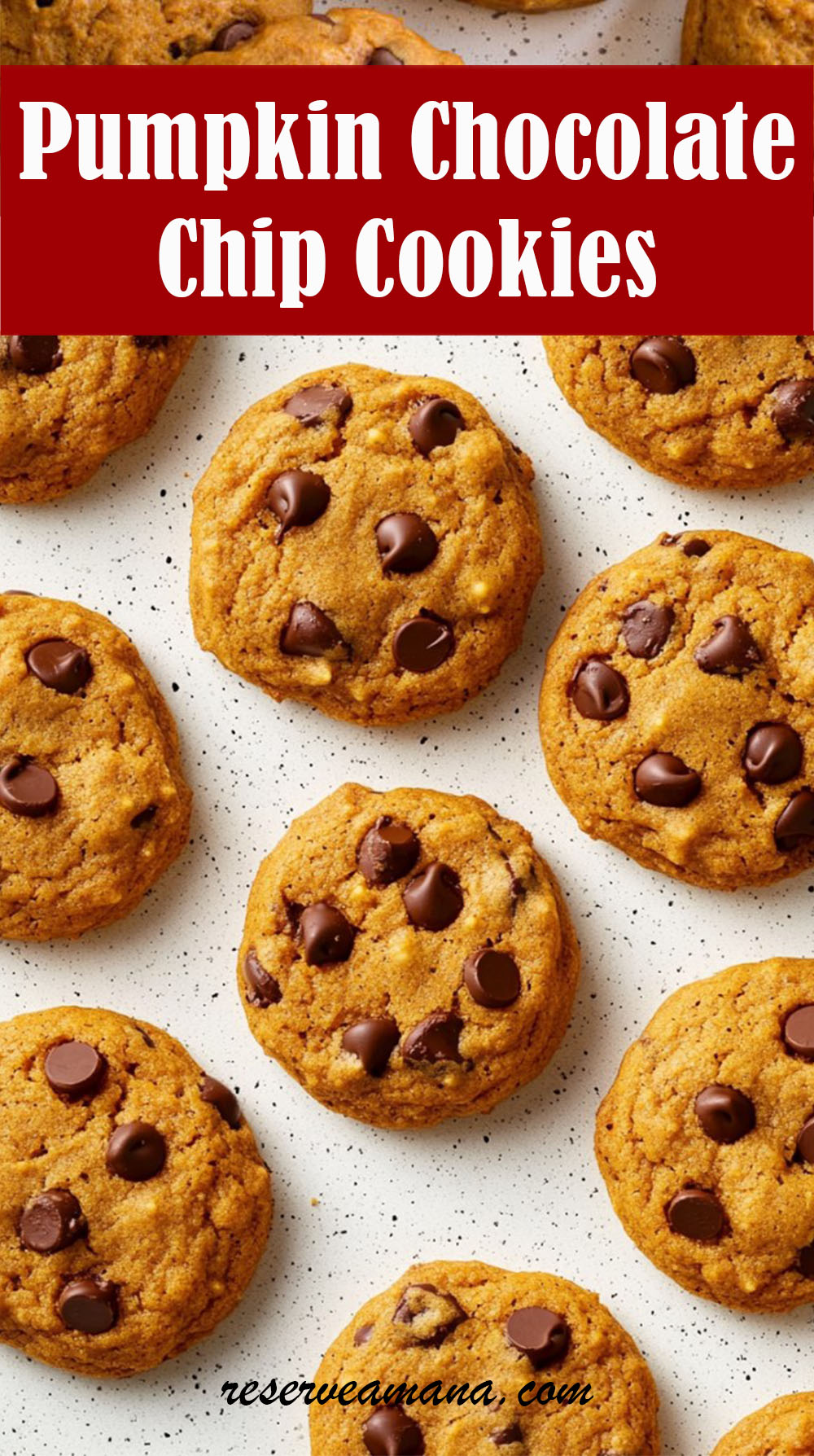 Pumpkin Chocolate Chip Cookies