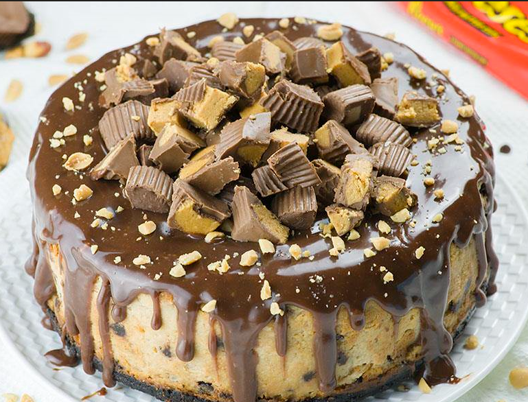 Chocolate Peanut Butter Cheesecake