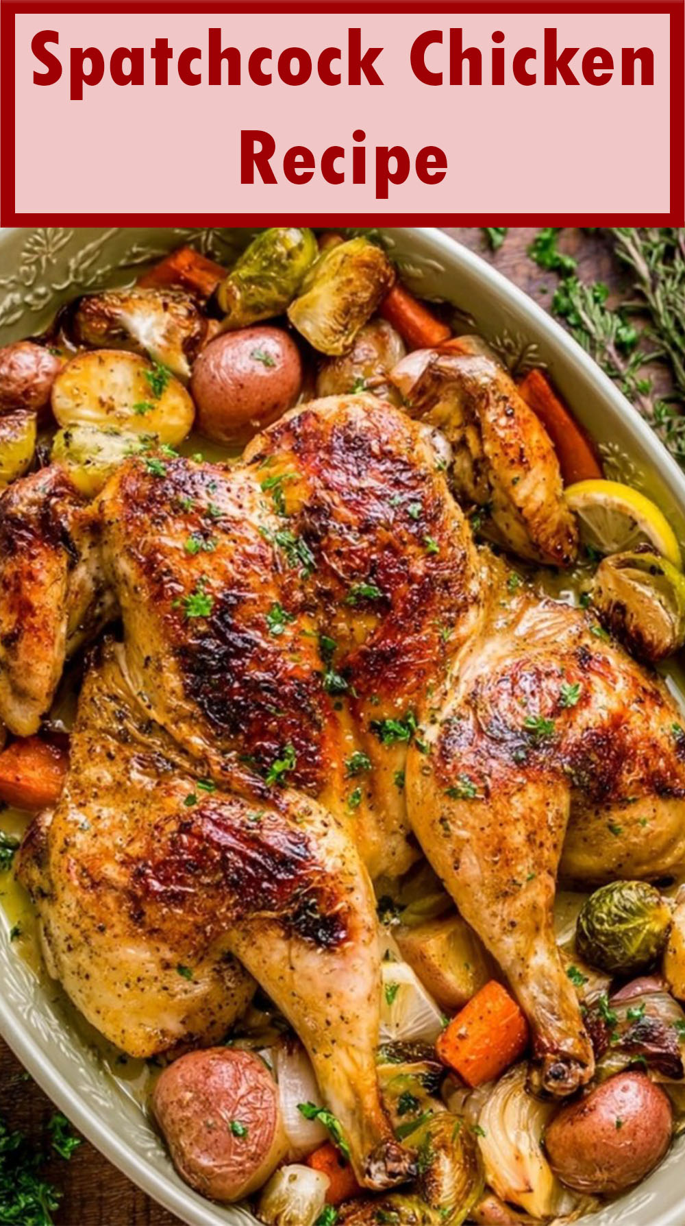 Spatchcock Chicken Recipe