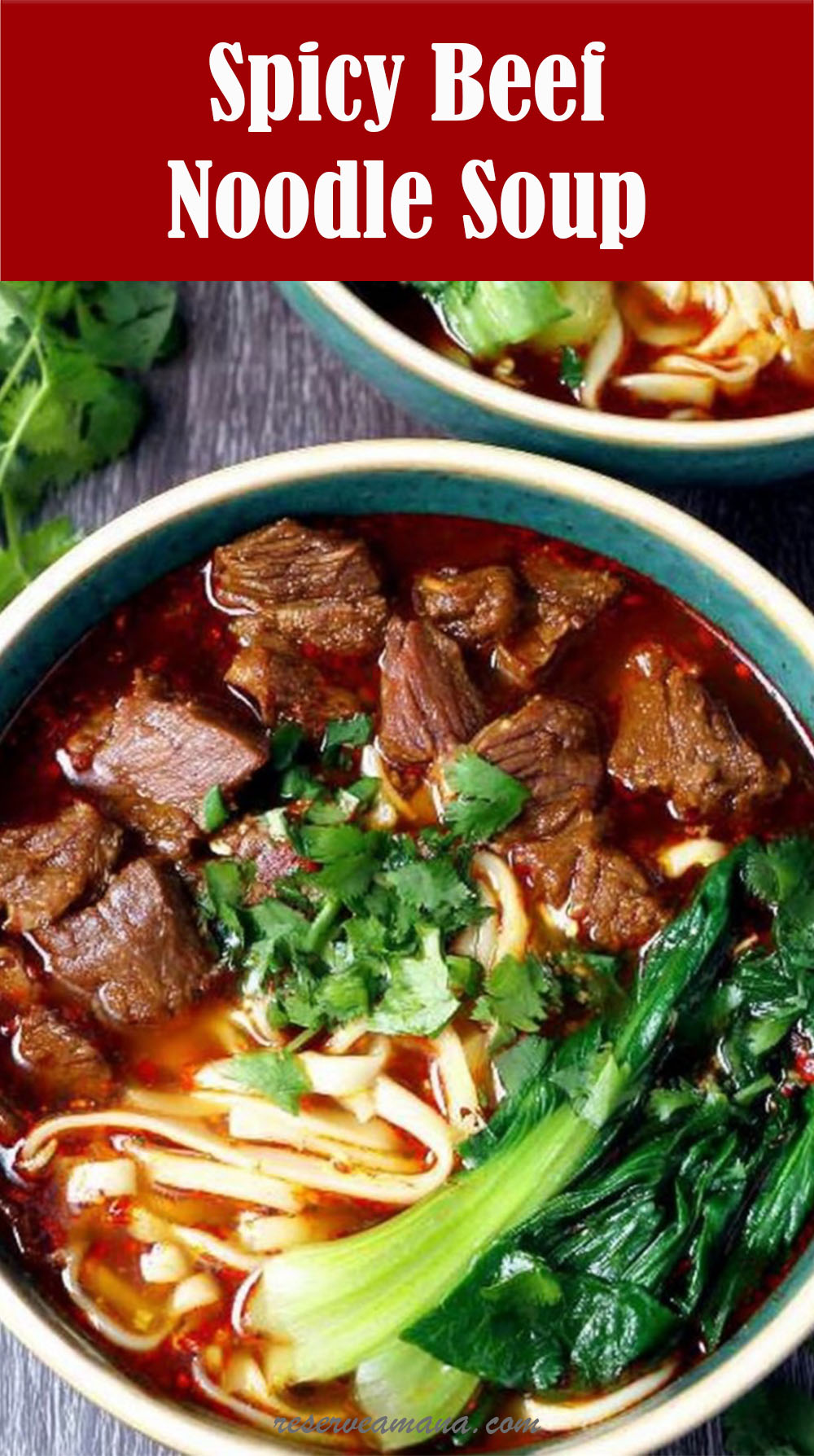 Spicy Beef Noodle Soup