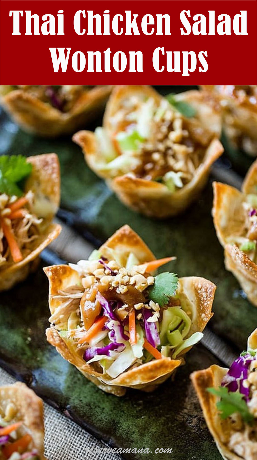 Thai Chicken Salad Wonton Cups