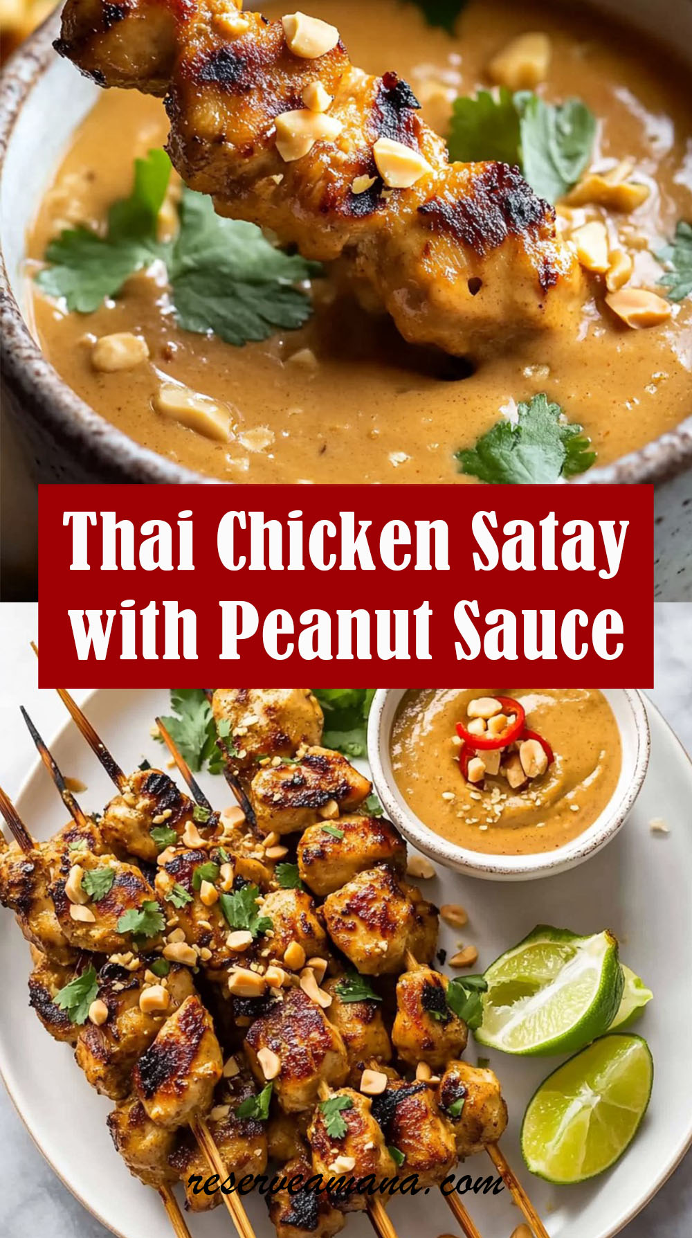 Thai Chicken Satay with Peanut Sauce