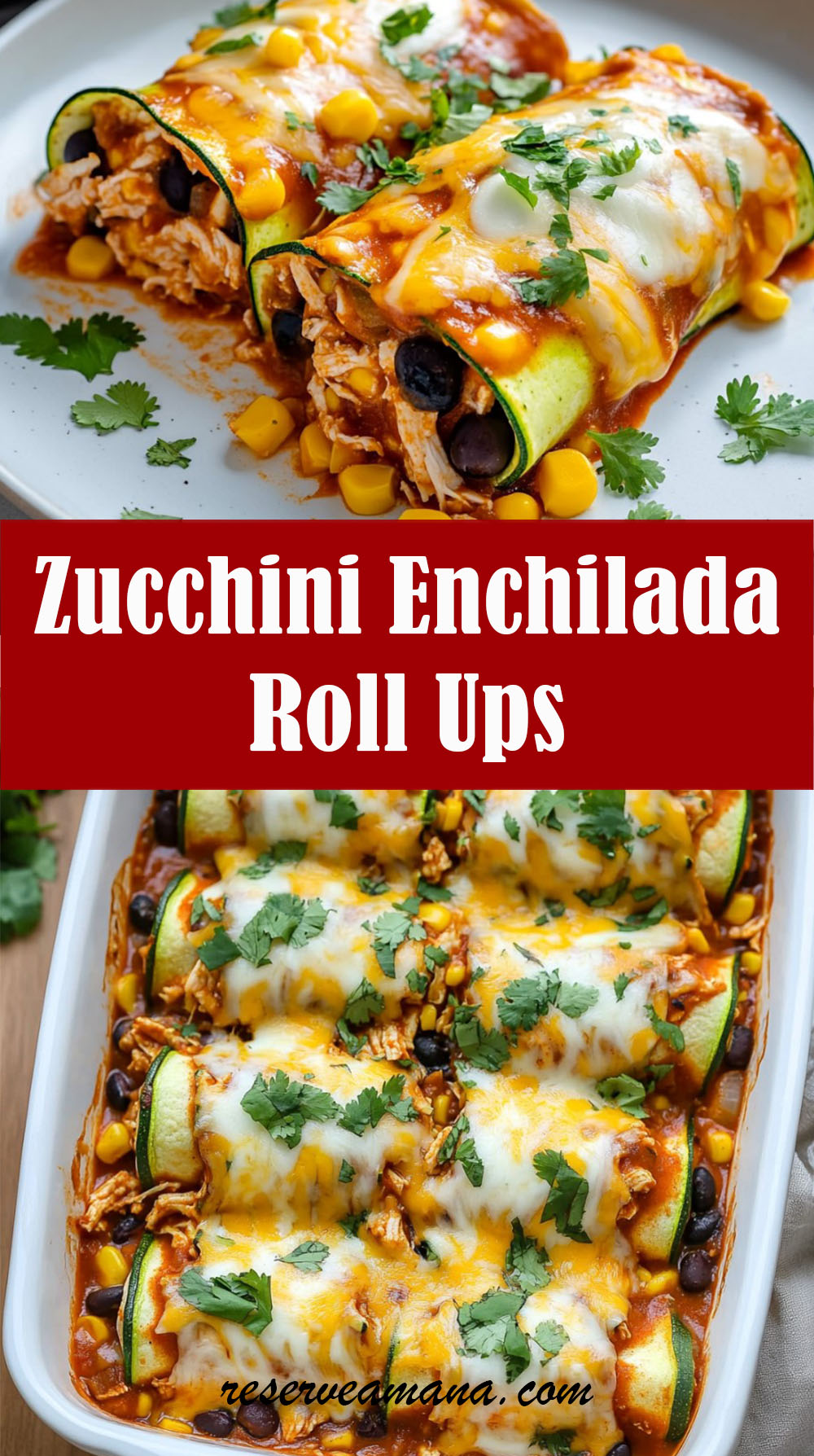 Zucchini Enchilada Roll Ups